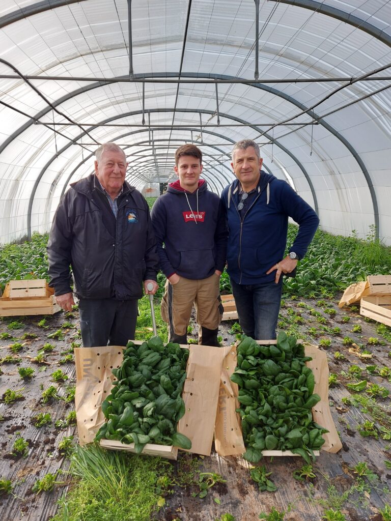 Bertrand Feraut Agriculteur maraicher bio